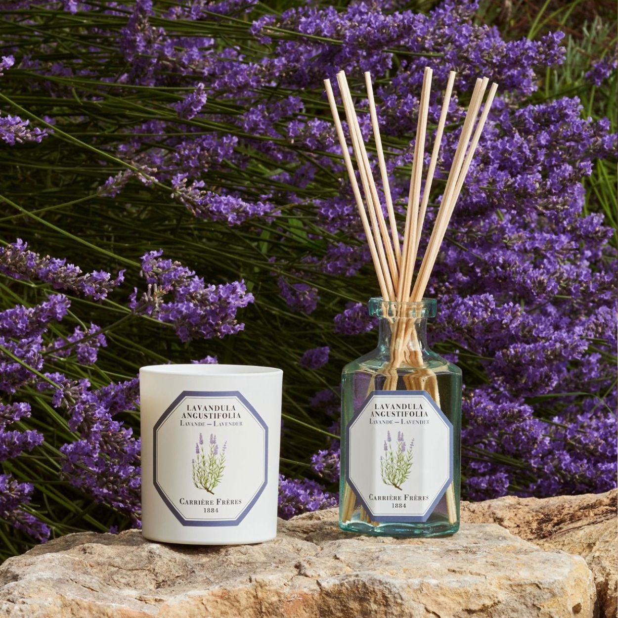 Carriere Freres Lavender Candle Lifestyle 2