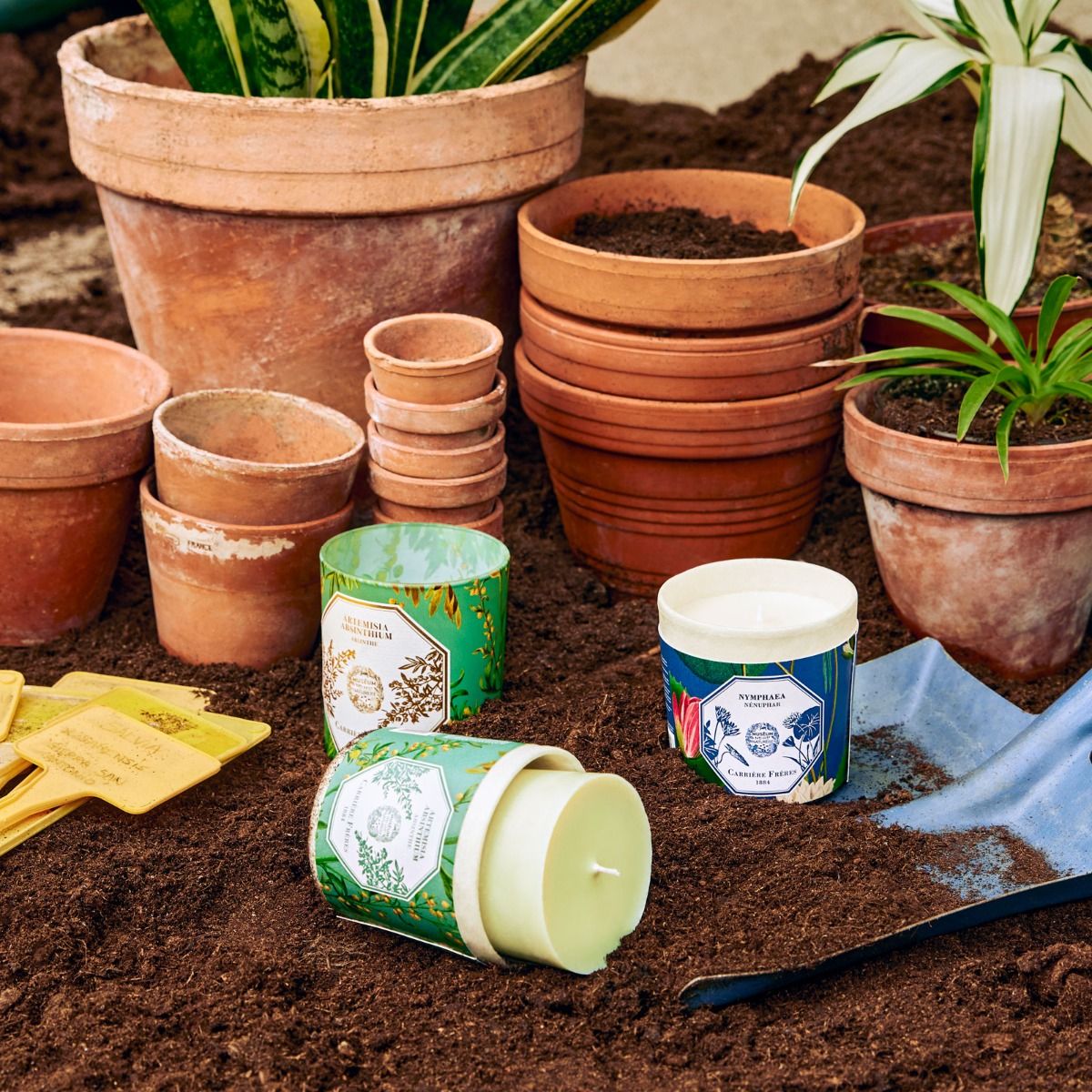 Refill for Absinthe Candle