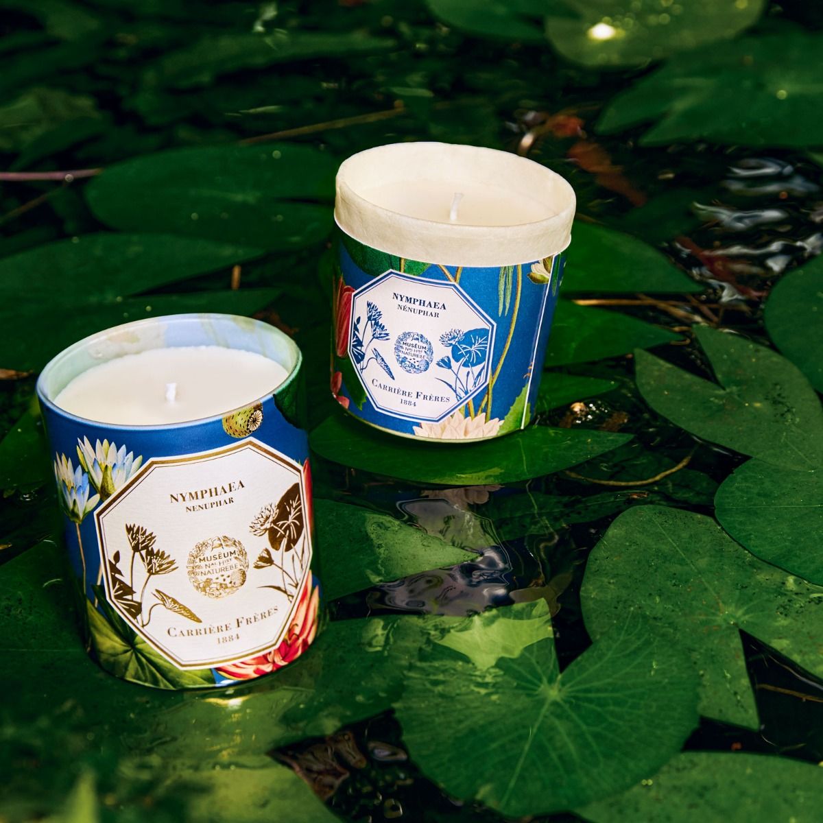 Carriere Freres Refill for Waterlily Candle Lifestyle