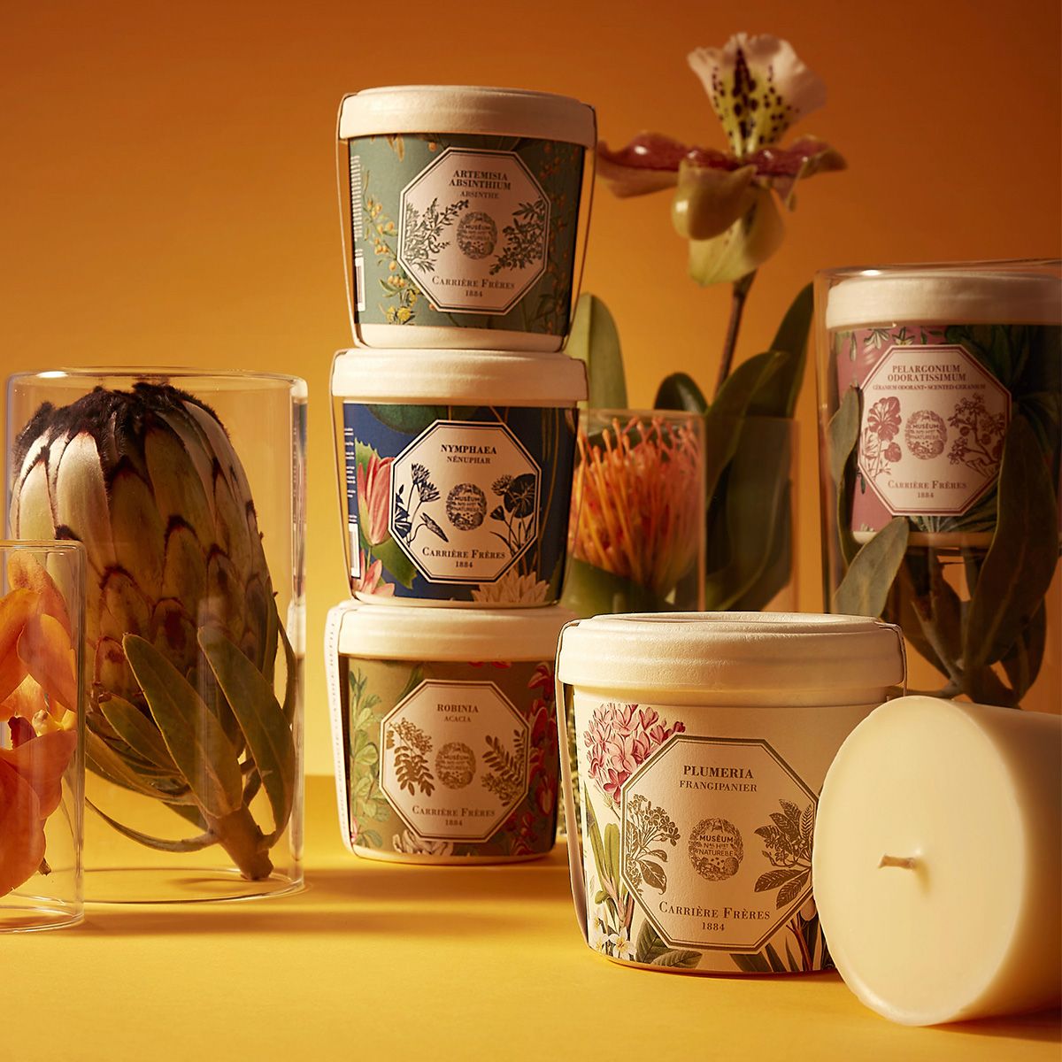 Carriere Freres Refill for Waterlily Candle Lifestyle