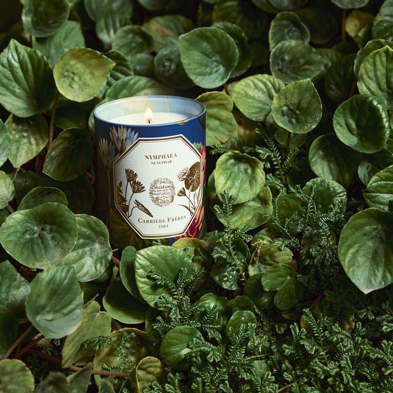 Carriere Freres Waterlily Candle Lifestyle