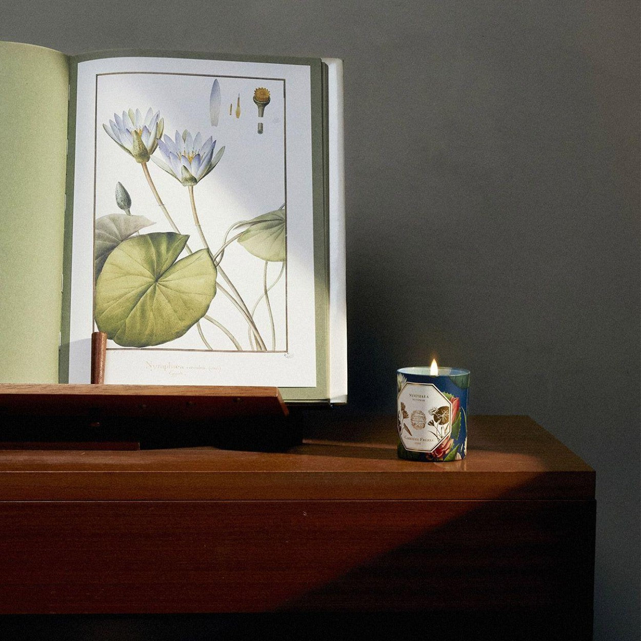 Carriere Freres Waterlily Candle Lifestyle 1