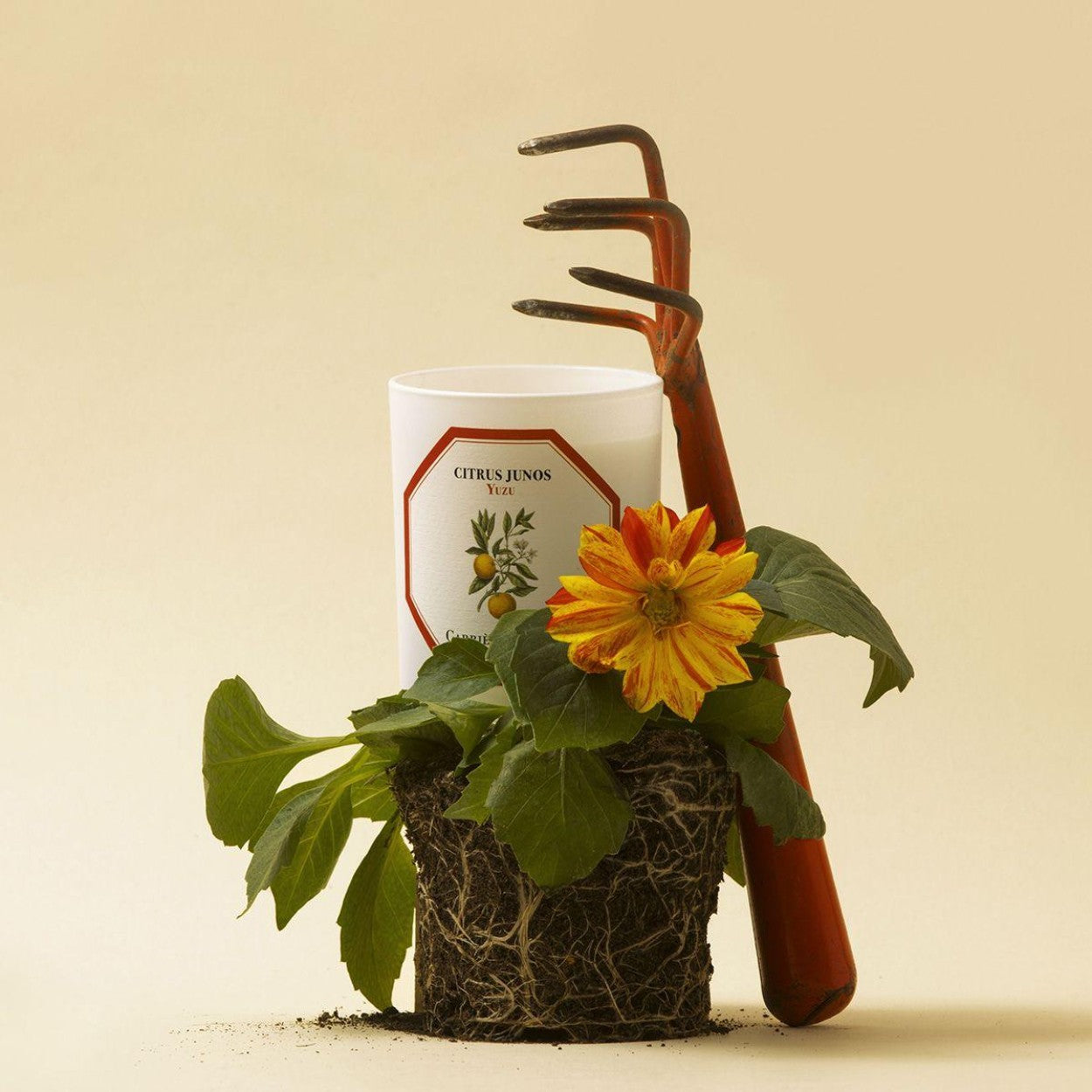 Carriere Freres Yuzu Candle Lifestyle