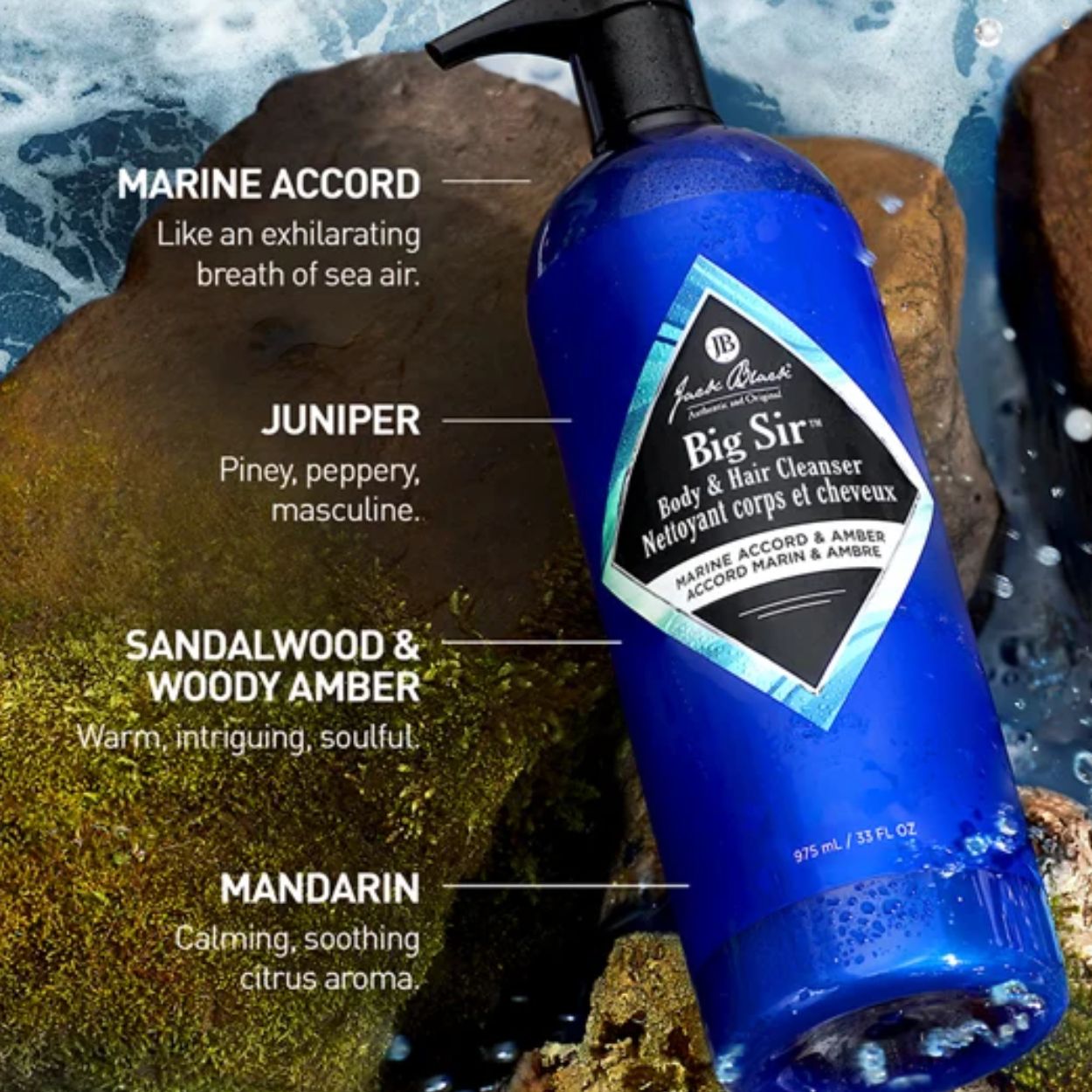 Big Sir Body & Hair Cleanser