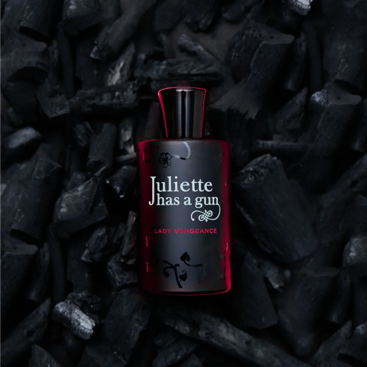 Lady Vengeance  image 1