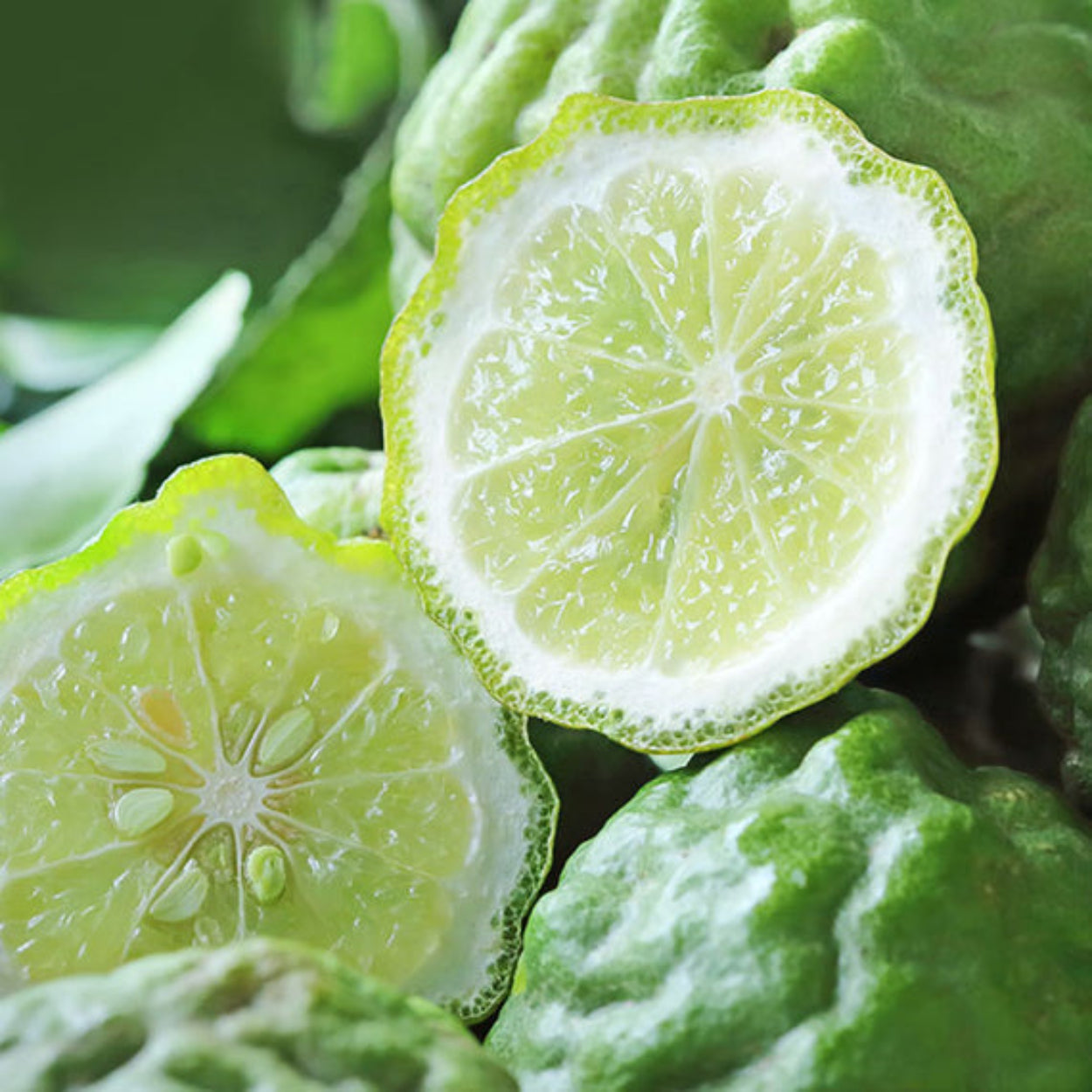 NestNewYorkAmalfiMint_Lemon-LiquidSoap_5