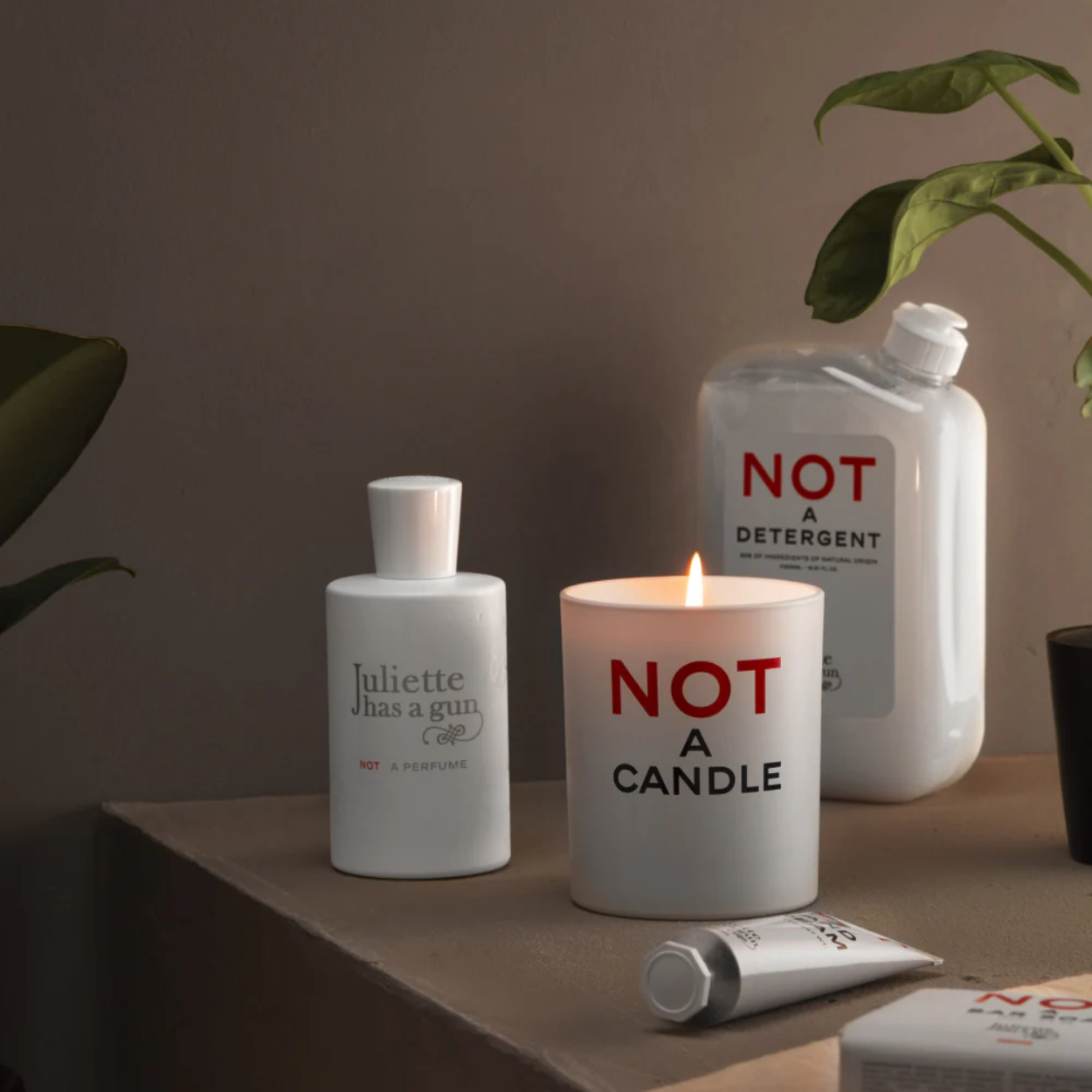 Not_A_Candle_image_4