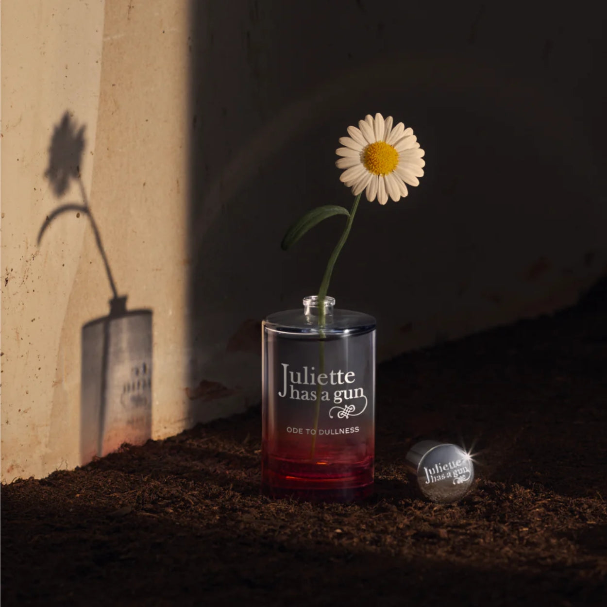 Ode To Dullness Lifestyle Image 1