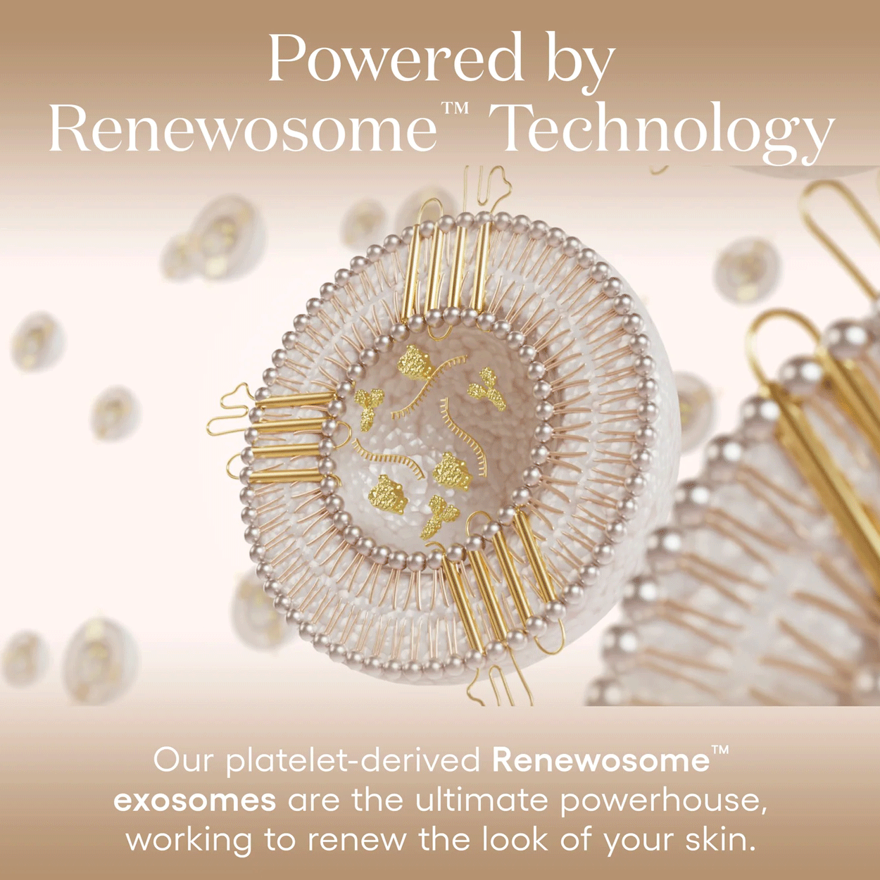 Plated Skin Science Daily Serum Information