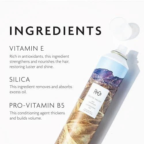 R+Co Death Valley Dry Shampoo Ingredients