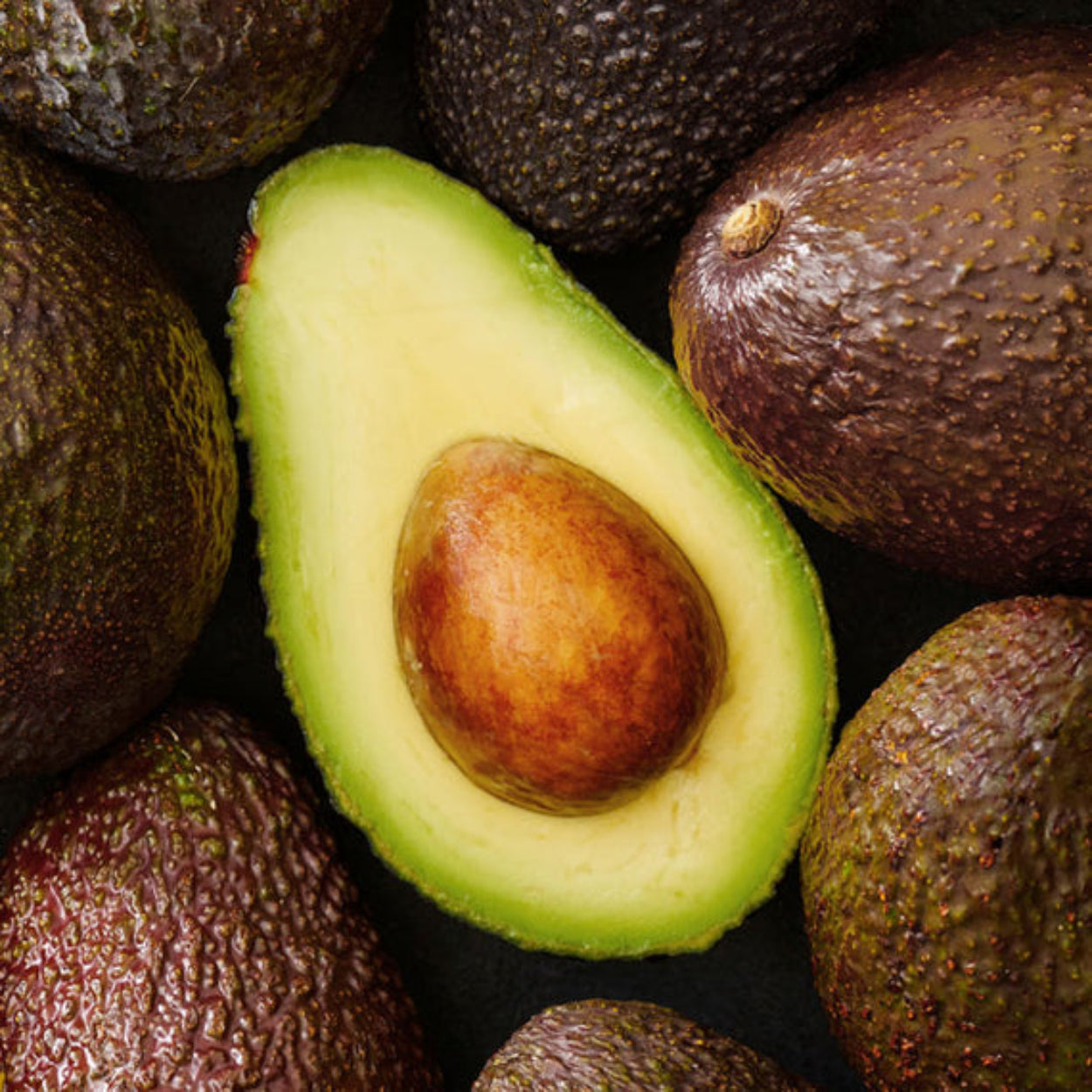 Santorini_Olive_and_Citron_classic_Candle 6