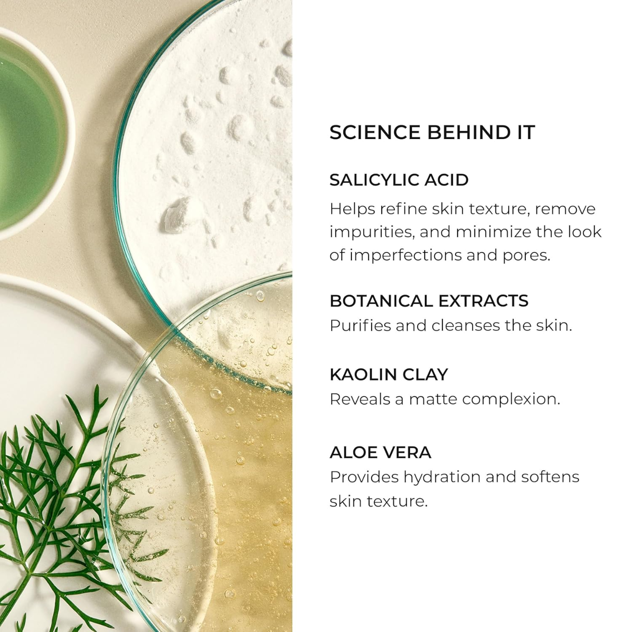 Stabilizing Cleansing Mask Ingredients Image