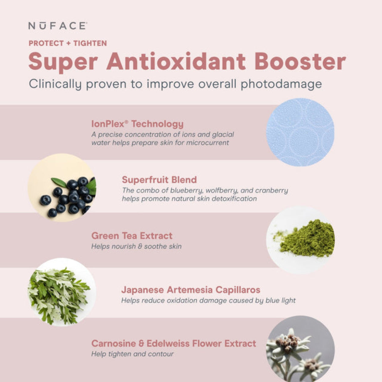 Super Antioxidant Booster Serum Image 4
