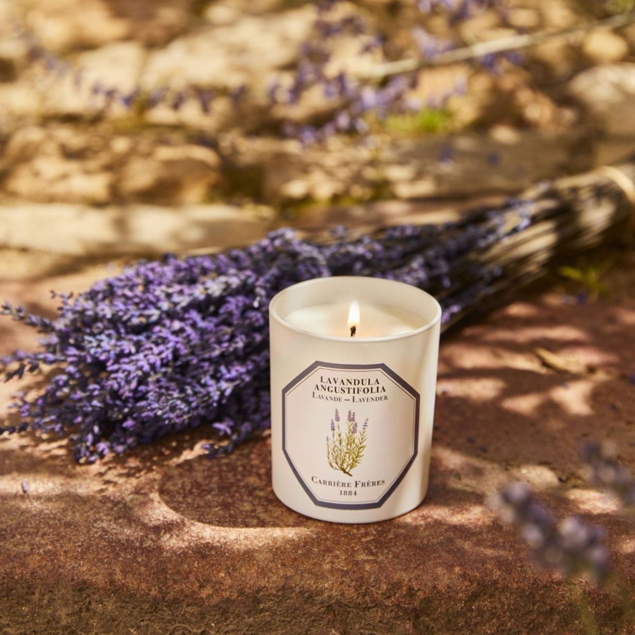 Bougie Parfume Scented Candle Flowers Lavandula Angustifolia Lavender