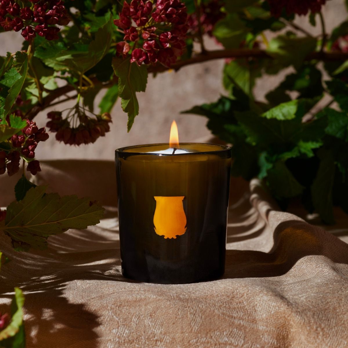 Cyrnos - Mediterranean Aromas
