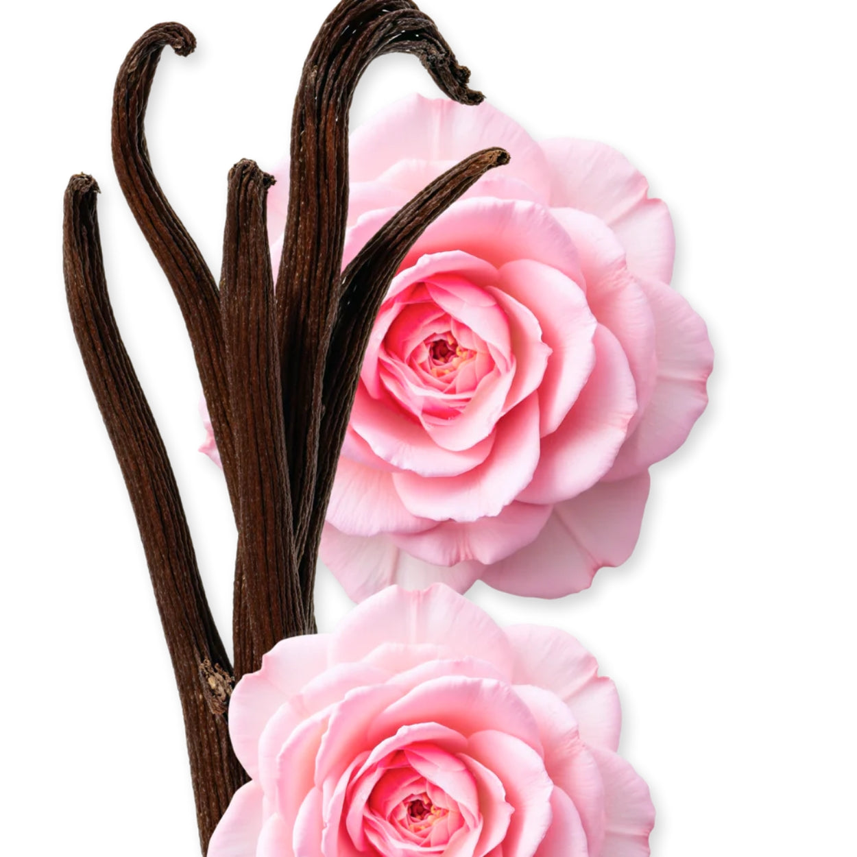 Delina Exclusif Parfum