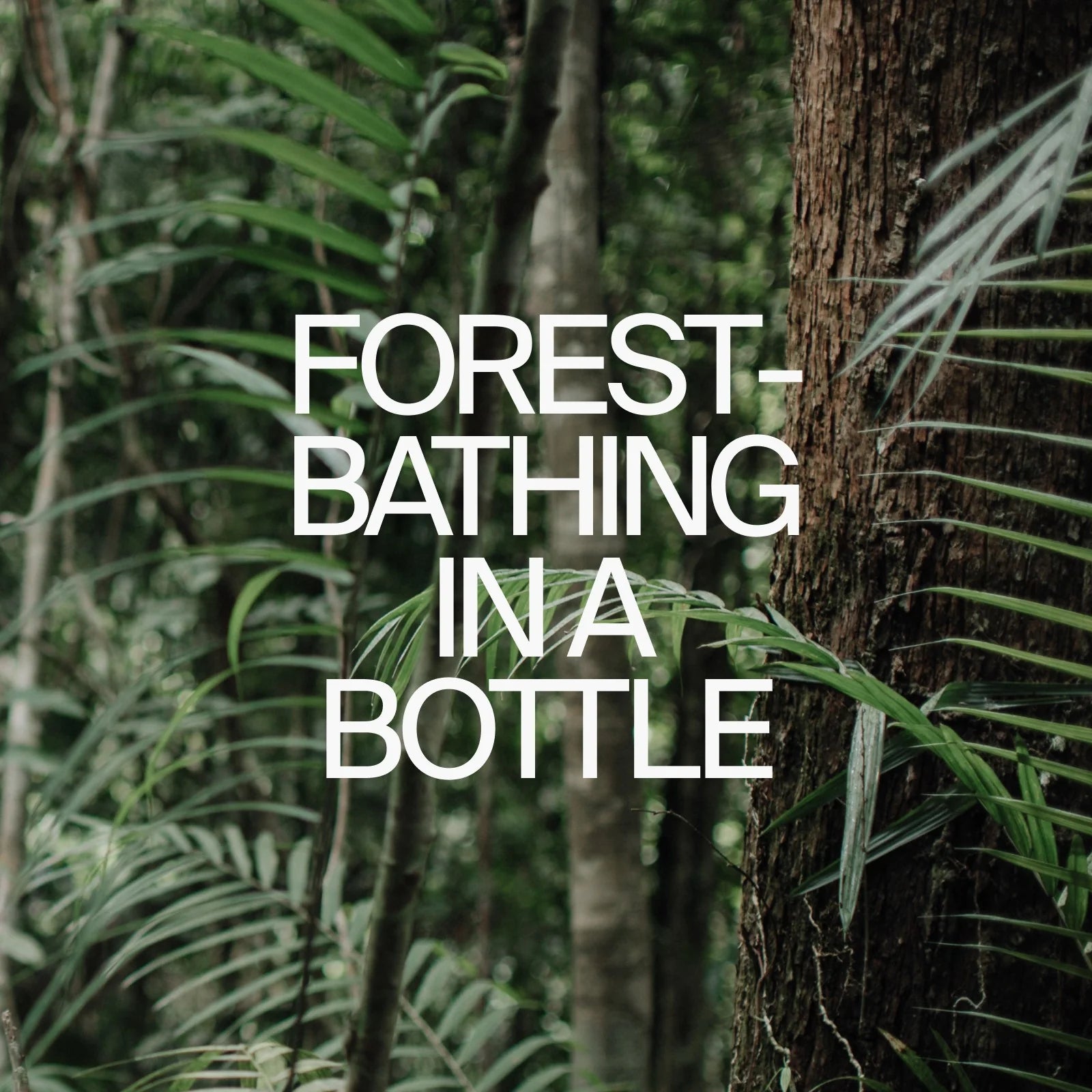 Aroma Infographic Image 2