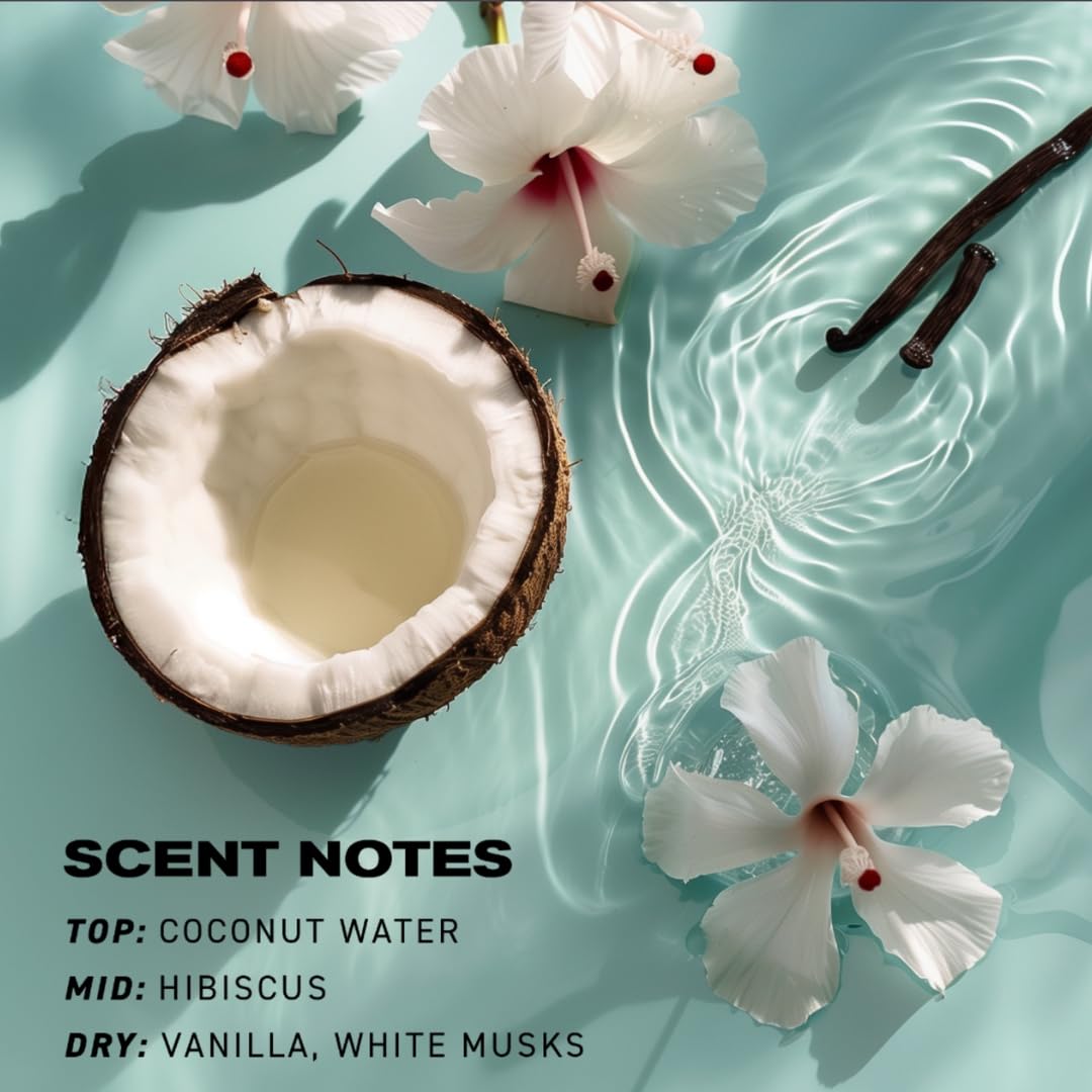 Beach Club Texture Powder Infographic Image 3