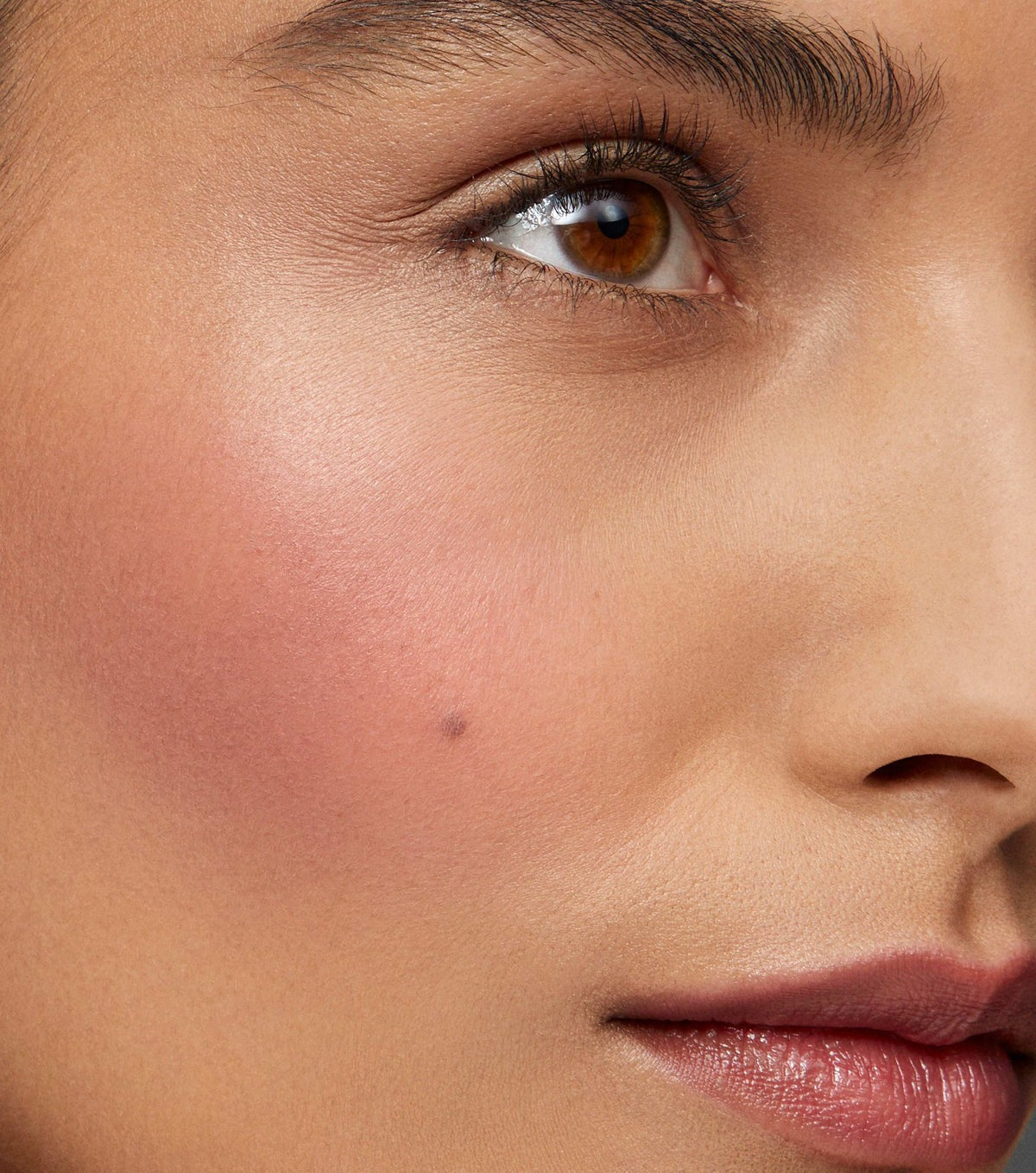 Bichette Lifestyle Image 1