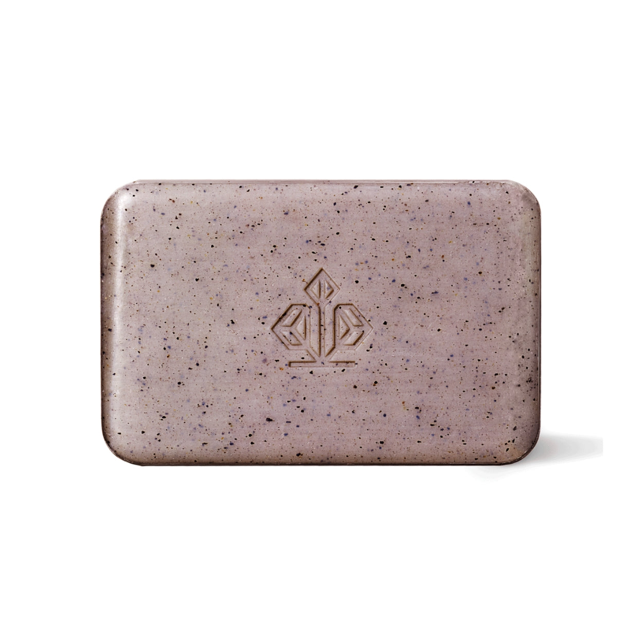Caldera_Lab_The_Body_Bar_Daily_Exfoliating_Soap Hero image