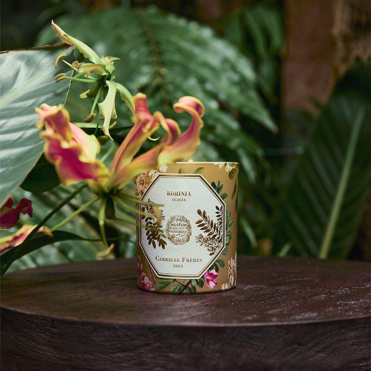 Carriere Freres Acacia Candle Lifestyle