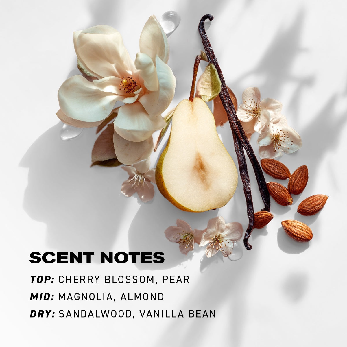 Club Lights Clear Gloss Style Perfector Notes Image 