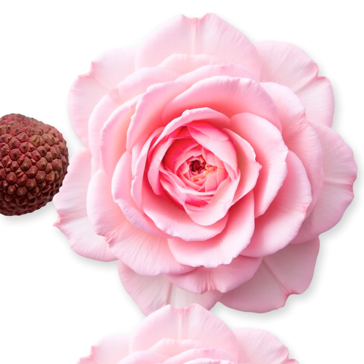 Delina Eau De Parfum Lifestyle Image