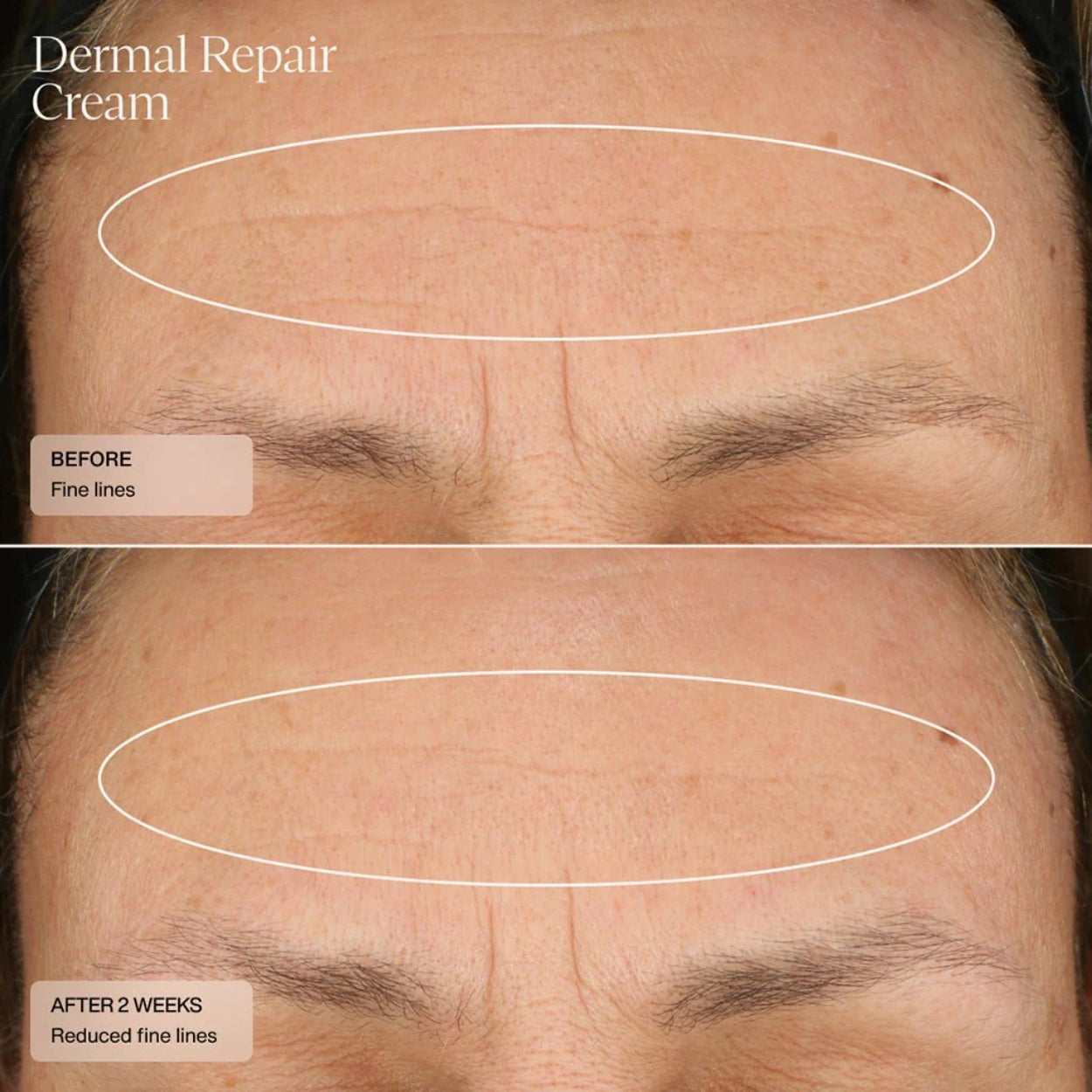 Dermal Repair Cream (CAD) Model Image 