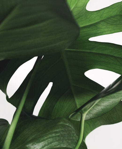 Eye And Lip Makeup Remover Lifestyle Image 1