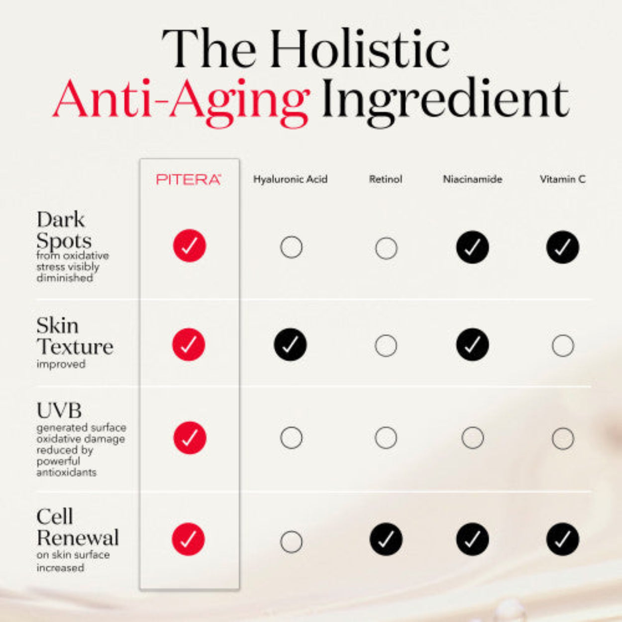 PITERA First Experience Kit