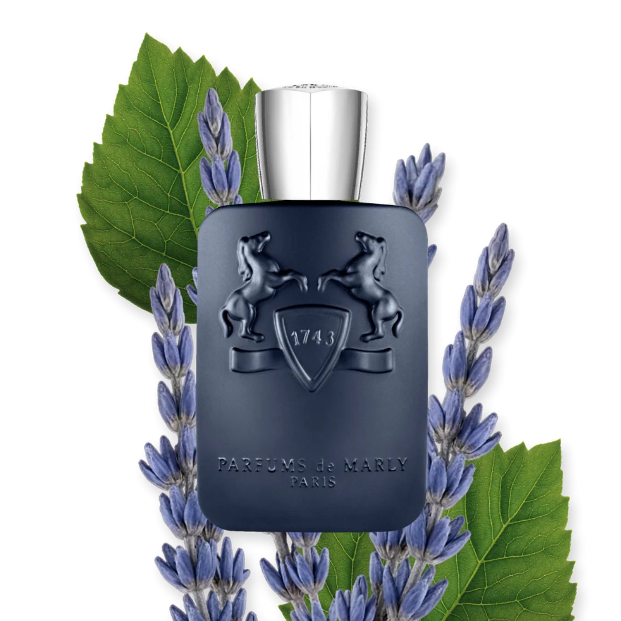 Layton Eau De Parfum Lifestyle Image