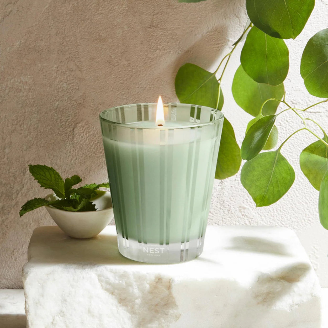 NestNewYorkWildMint_Eucalyptus-1