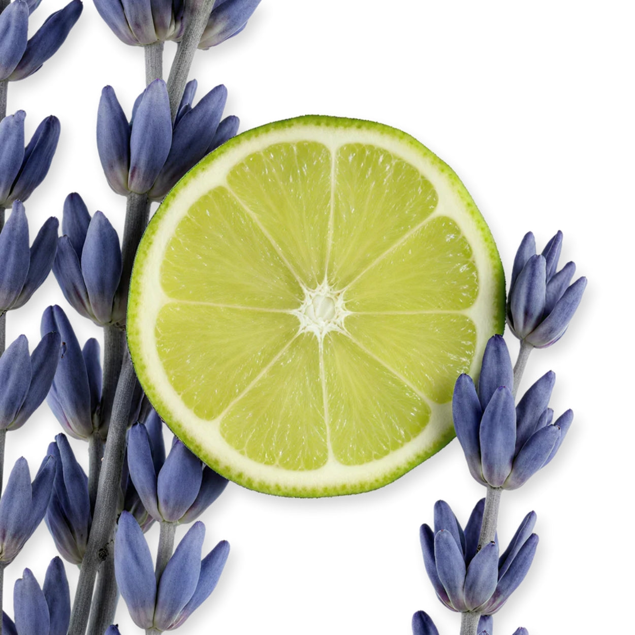 Percival Eau De Parfum Lifestyle Image 1
