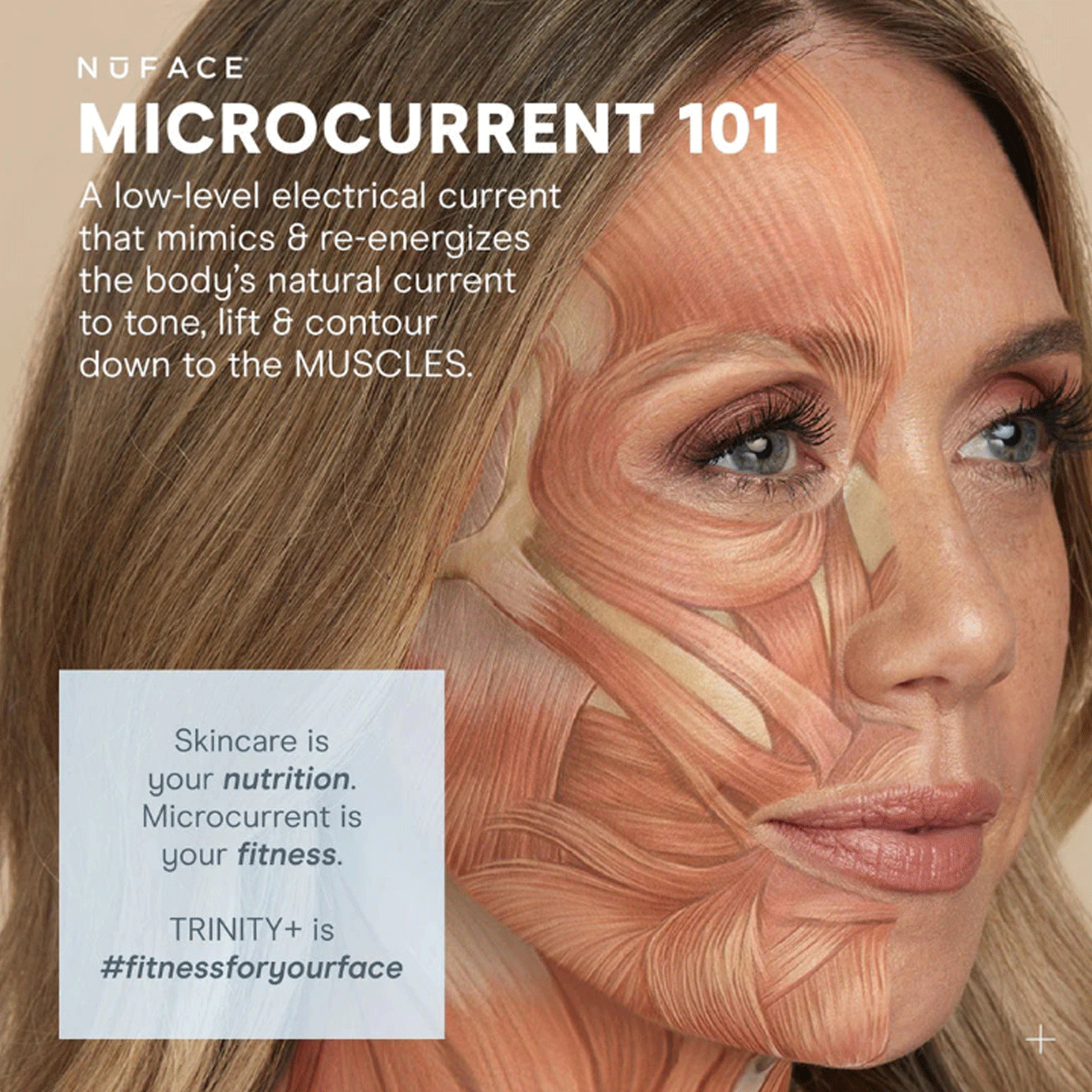 TRINITY+ Wrinkle Reducer Attachment 8