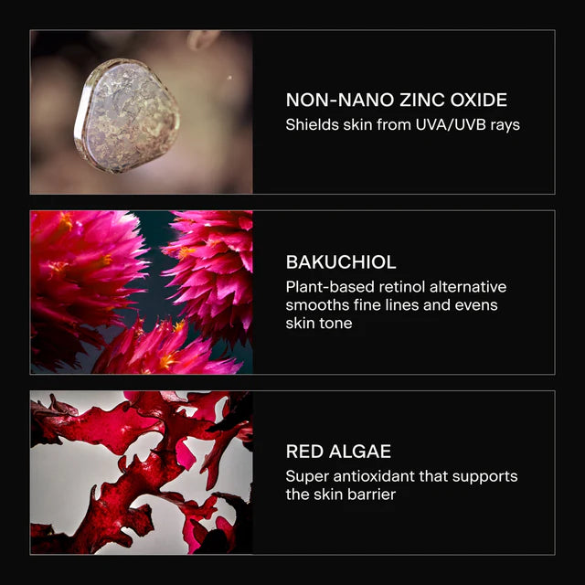 The Face SPF Mineral Sunscreen Ingredients Image