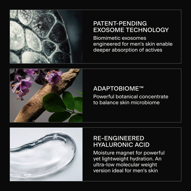 The Great Anti-Aging Lightweight Serum Ingreditents Image